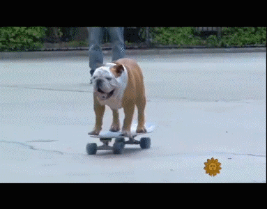 bookmark-videos