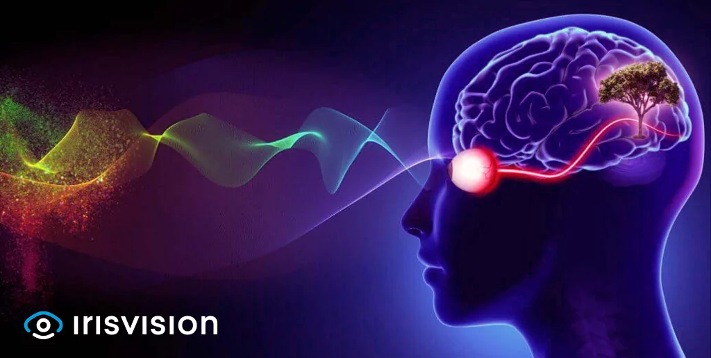 Optic Atrophy – An Overview